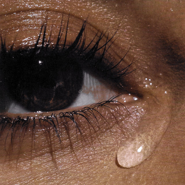 Paula Cendejas – COLIBRÍ